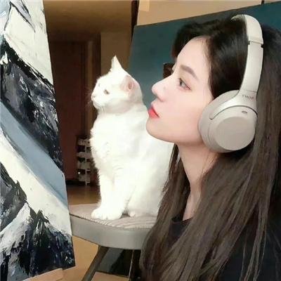 辩词